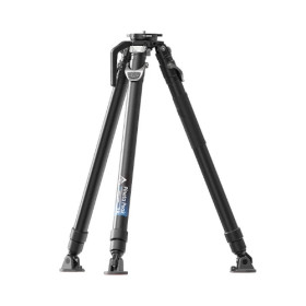 YC Onion Pineta Peak 75