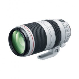 Canon EF 100-400mm F/4.5 – 5.6 L Is II USM Lens