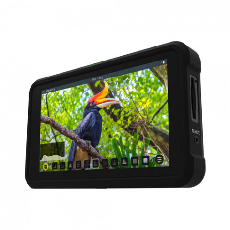 Atomos Shinobi 1000nit 5" SDI-HDMI-SDI Monitor